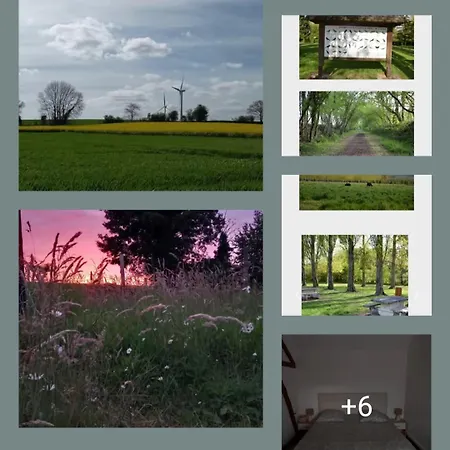 La Ferme Des Aristochats