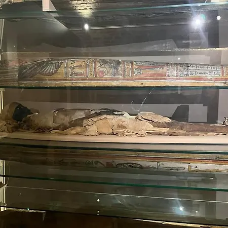 Nyaraló La Ferme Des Aristochats *